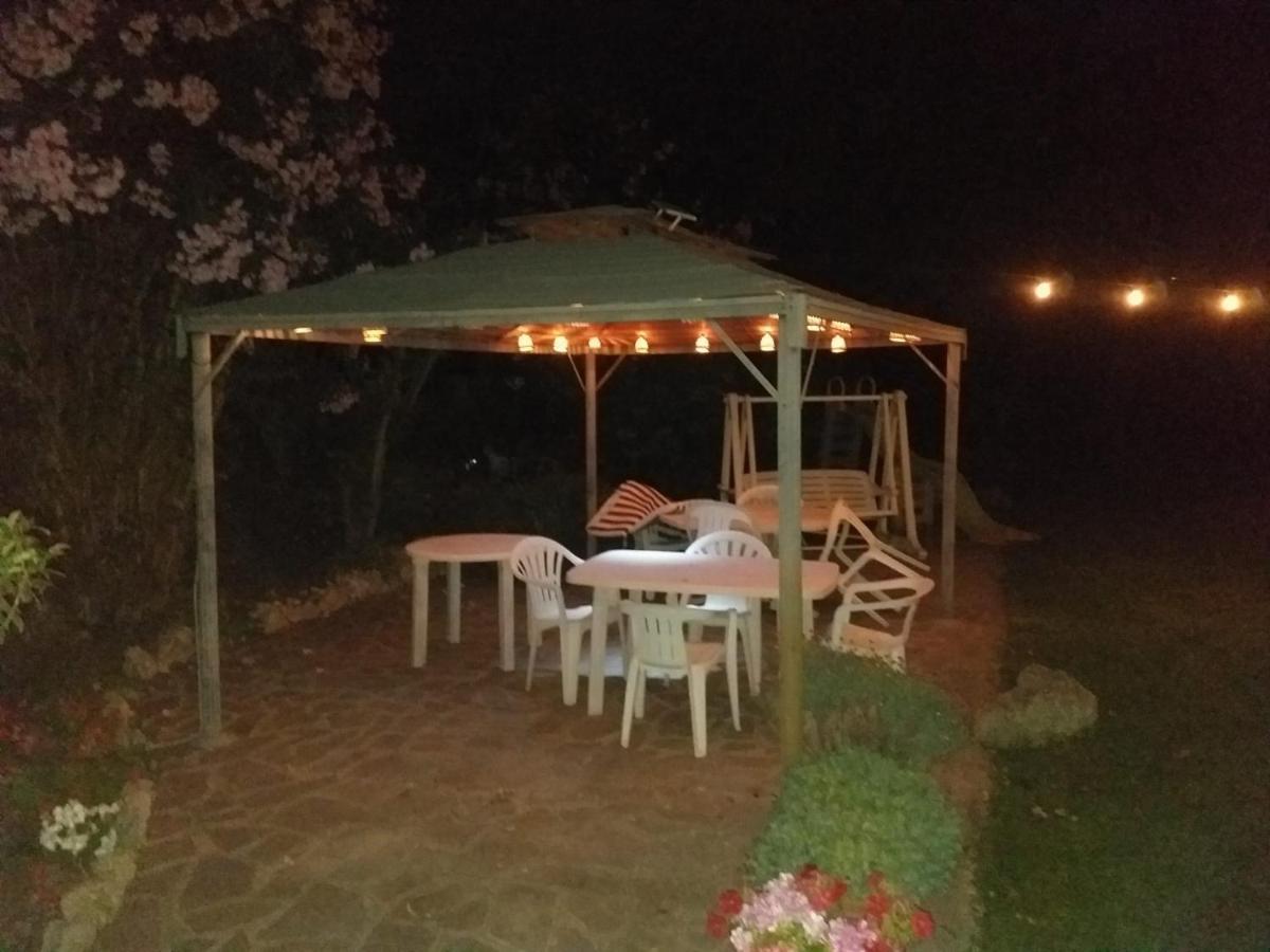 Garden Basement - Seminterrato Max 4 Ospiti - Fiumicino Vicino Aeroporto E Fiera Apartment ภายนอก รูปภาพ