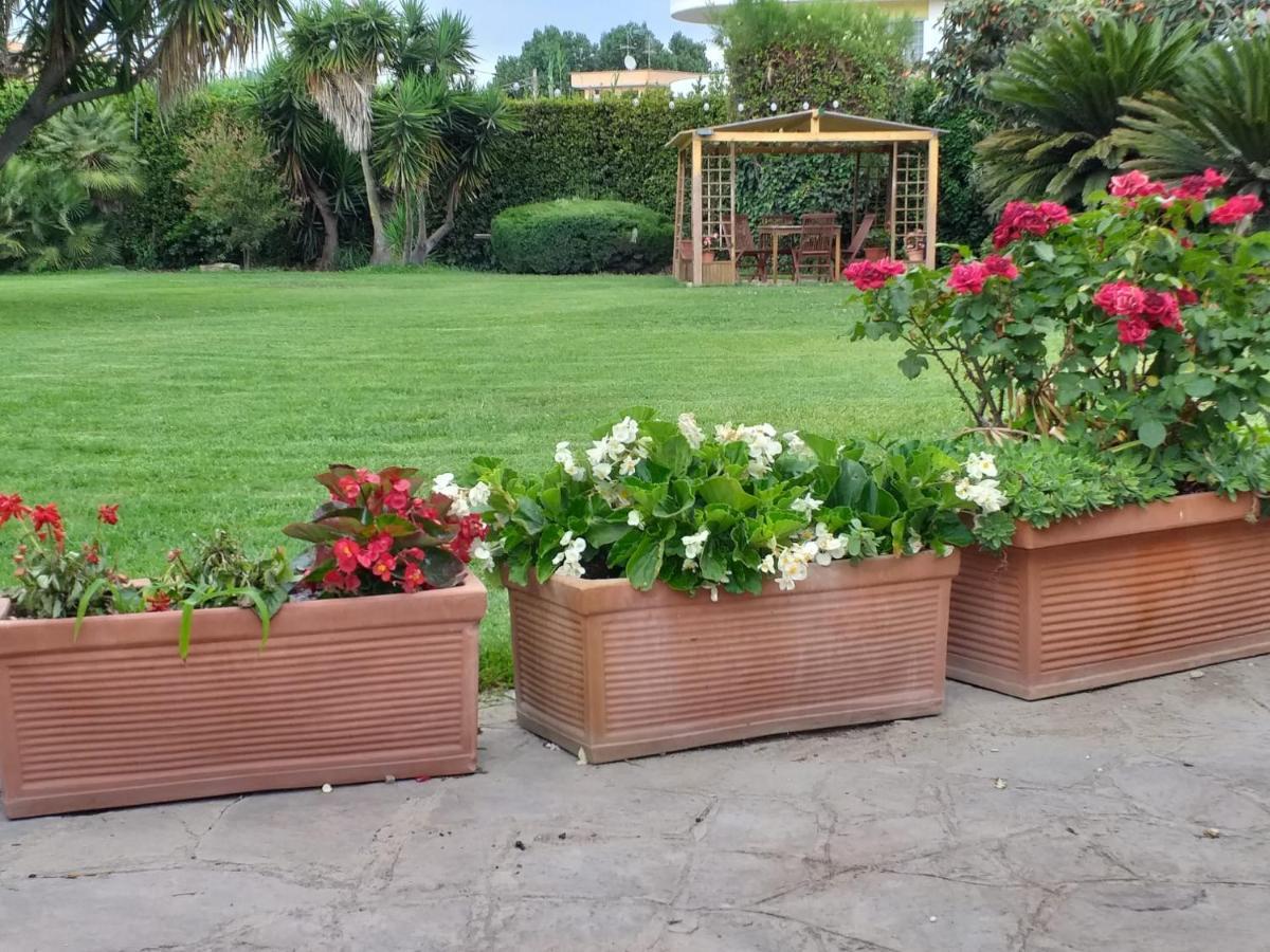Garden Basement - Seminterrato Max 4 Ospiti - Fiumicino Vicino Aeroporto E Fiera Apartment ภายนอก รูปภาพ